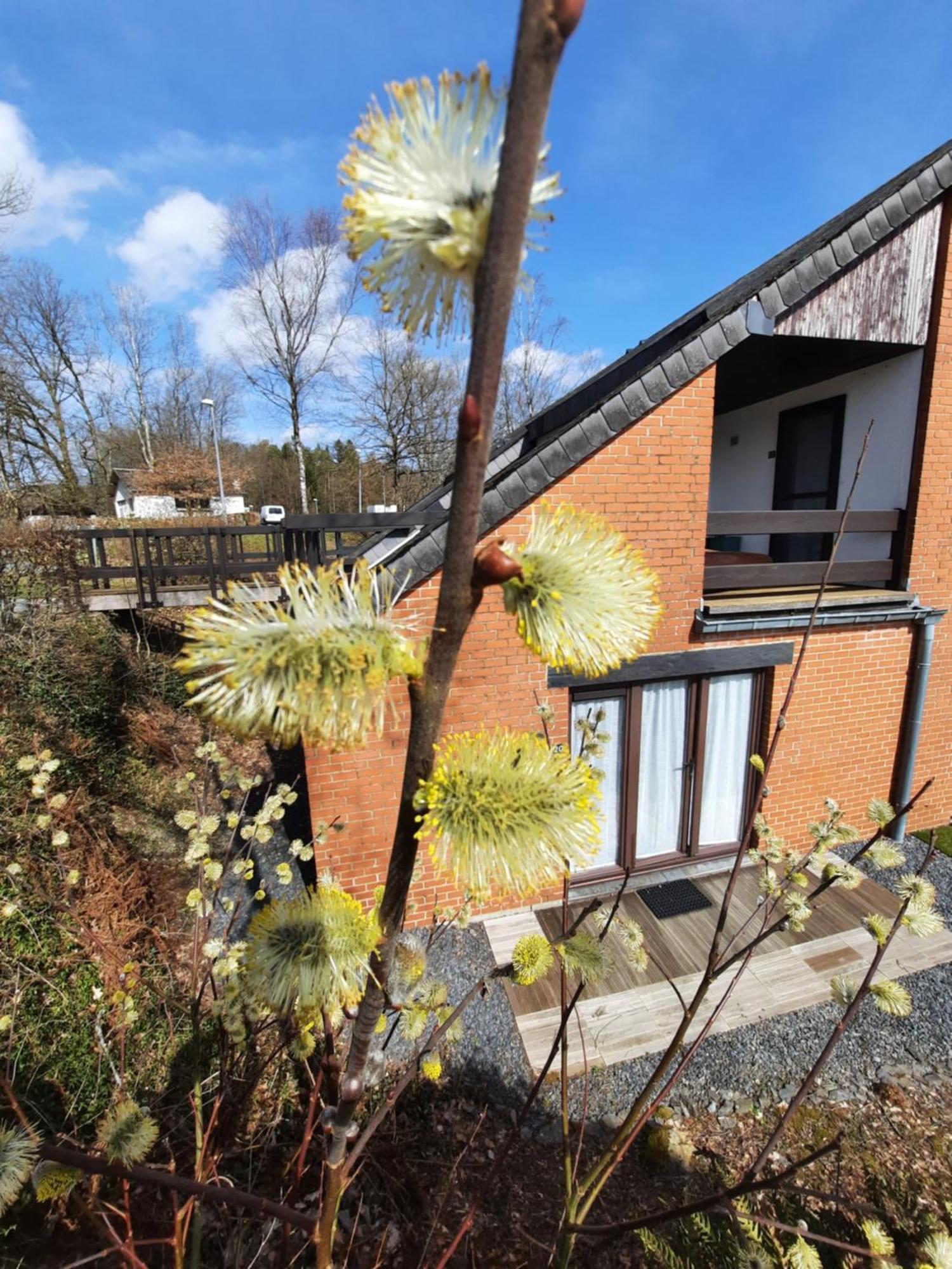 Le Sentier Des Lavandes Vresse-sur-Semois Exterior photo